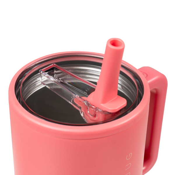 Salmon - Traveler (20oz) | Ref xqjh9c